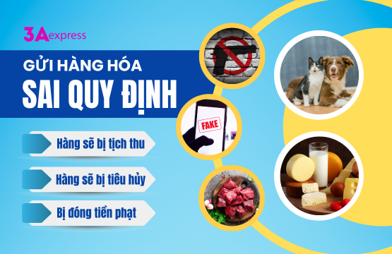 hàng không được phép gửi đi